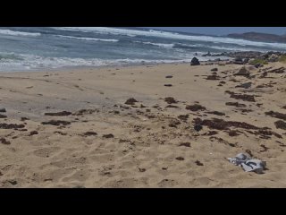 burnt like two people were fucking on the beach | fucking, gangbang, hairy